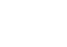 The Michelin Guide